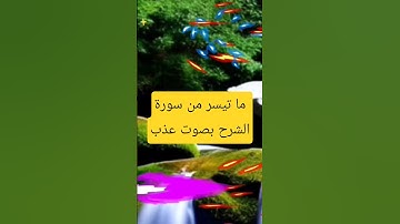 ماتيسر من القرآن الكريم من سورة الشرح بصوت هادئ (مريح للأعصاب)