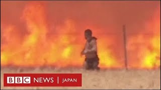 スペインの男性、山火事から命からがら避難