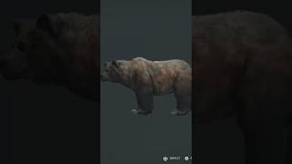Diamond Grizzly Bear in The hunter call of the wild.