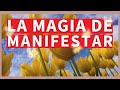 Descubre cómo MANIFESTAR tus DESEOS 💰 Meditación para MANIFESTAR!!