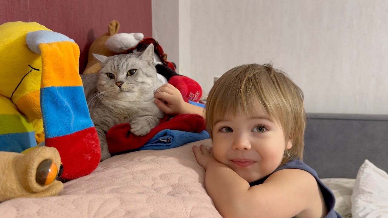 Маленький мальчик нашел свою кошку, спрятанную среди плюшевых игрушек.