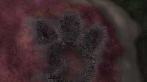 HUGE FOOTPRINT ON SPORE!!