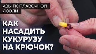 Как насадить кукурузу на крючок?  Уроки рыбалки от Юрия Радугина.