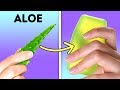 17 NATURAL BEAUTY HACKS WITH ALOE VERA