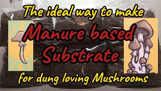 Manure based substrate recipe for dung loving Mushrooms easy step by step grain spawn to bulk