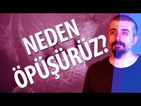 Neden Öpüşürüz? - Öpüşmenin Fizyolojik Temelleri