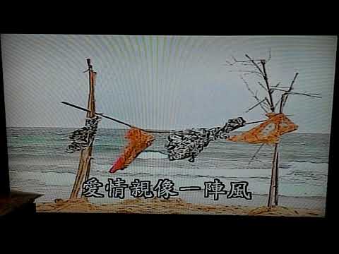 愛情一陣風 - star