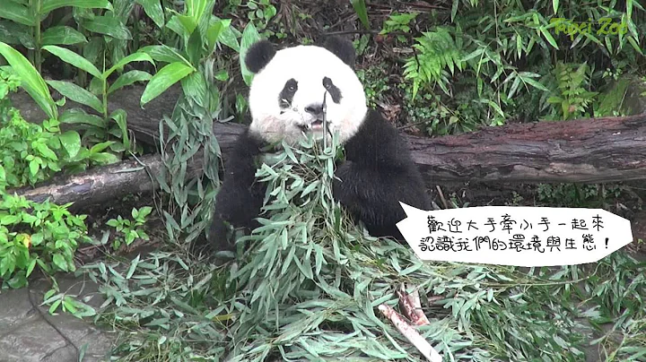 维护生物多样性－从日常生活落实 2016 International Day for Biological Diversity - 天天要闻