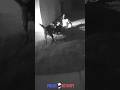K9 Jakko Catches Suspect in Chase