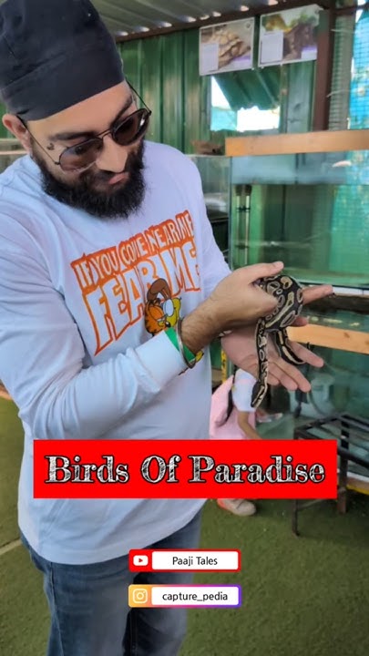 Birds Of Paradise Foundation | Python | Weekend Gateway |Day Outing # ...