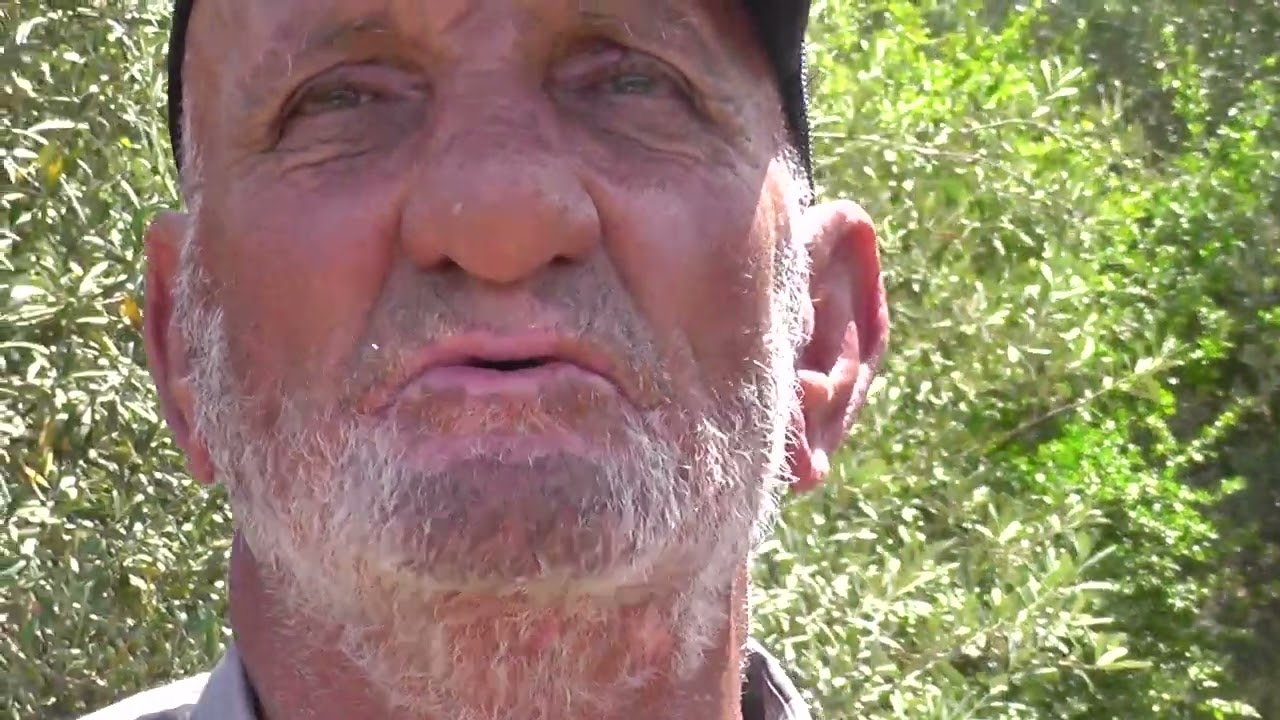 مستثمرة فلاحية لطيب بولغلم