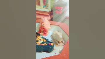 बार बार जल चढ़ाने से भी बाबा नहीं सुन रहे तो करें यह महाउपाय #pradeepmishra#shivpuran #shorts#upay