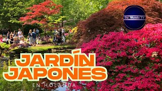 🌸 Descubre el Jardín Japonés en La Haya: un tesoro oculto en Holanda