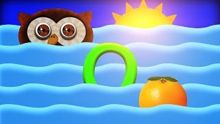 Videos For Babies And Toddlers: Learn The Letter O With Owls, Oceans, And Oranges!