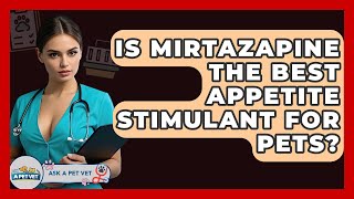 Is Mirtazapine The Best Appetite Stimulant For Pets - Ask A Pet Vet