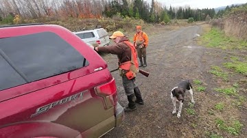 INSANE GROUSE FLUSH - North Maine Woods Episode 3