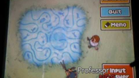 Professor Layton and the Diabolical Box Puzzle #033: Fishing Net