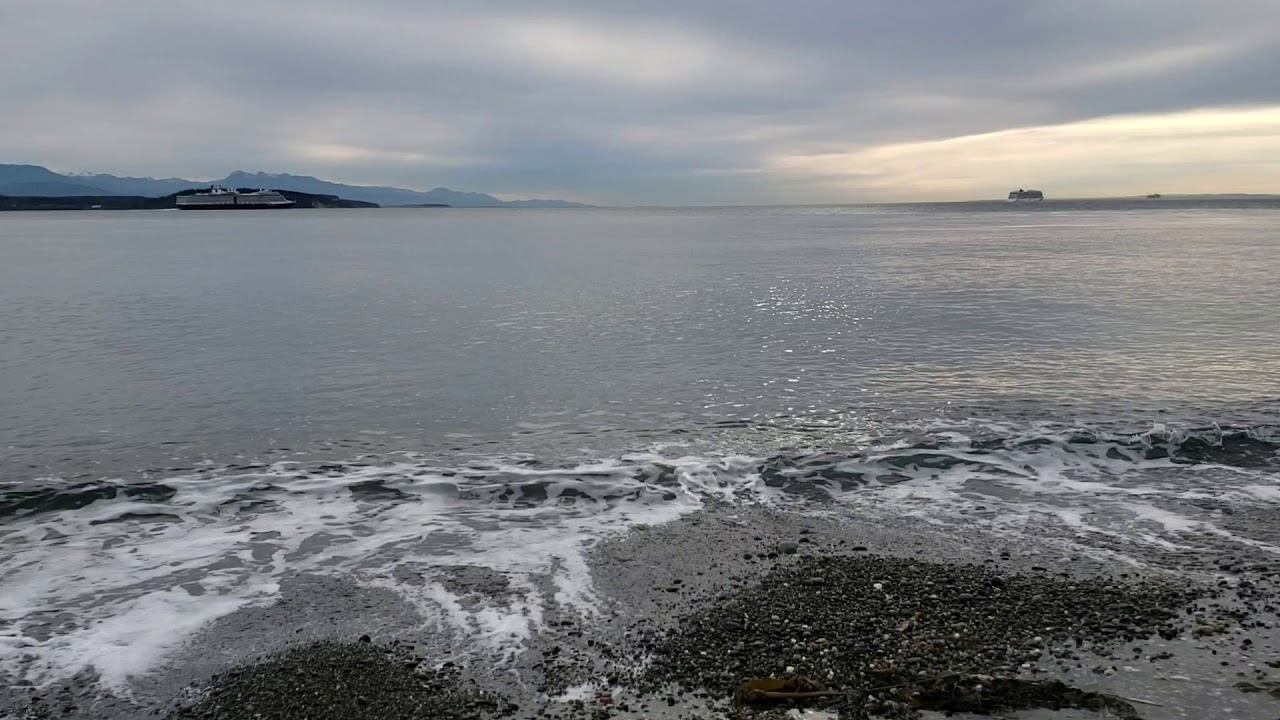 Whidby island May 2019