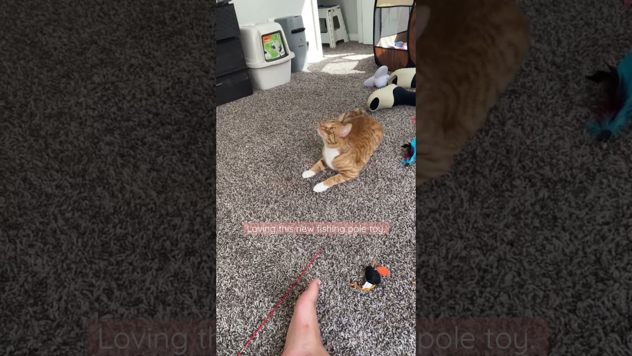 Loving this fishing pole toy. 