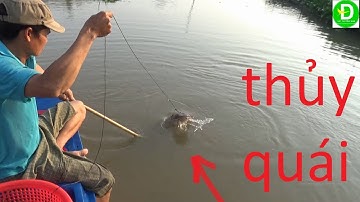 39  Giăng câu cá tra mồi chuột nướng - Dính thủy quái dòng sông - Cá khủng l Đất Phương Nam