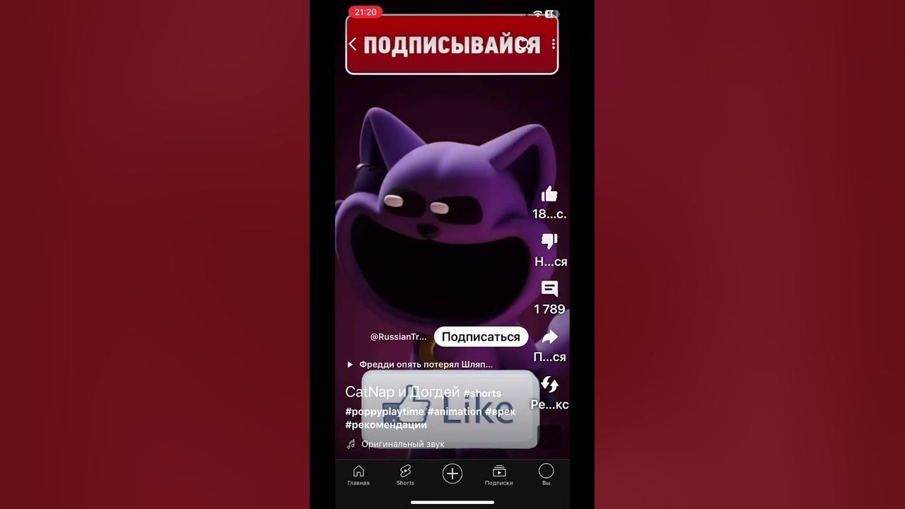 #Хаге Ваге - YouTube