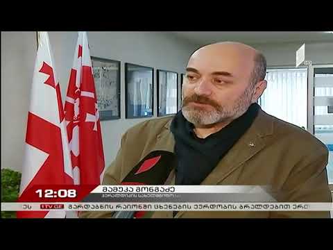 ჰერალდიკის საბჭო. მამუკა გონგაძე. დროშის დღე  2019.