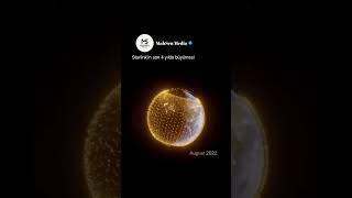 Starlinkin Son 4 Yılda Büyümesi