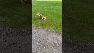 Sunny2Ddb0904E Eebc 4216 Ad20 E5114C4F428E