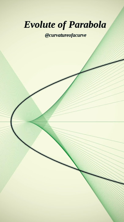 Parabola 🇧🇷 #maths #physics #science #education