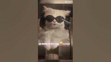 i heard @scottfrenzel  comments on any video using this song! 😋 🔑🍋‍🟩🥧