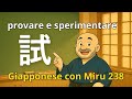 Miru - Lezione di giapponese 238 (試す)