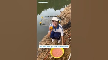 chủ hồ khinh thường em học sinh đi câu cá và cái kết  #fishing #xuhuong #cauca#giaitri #short