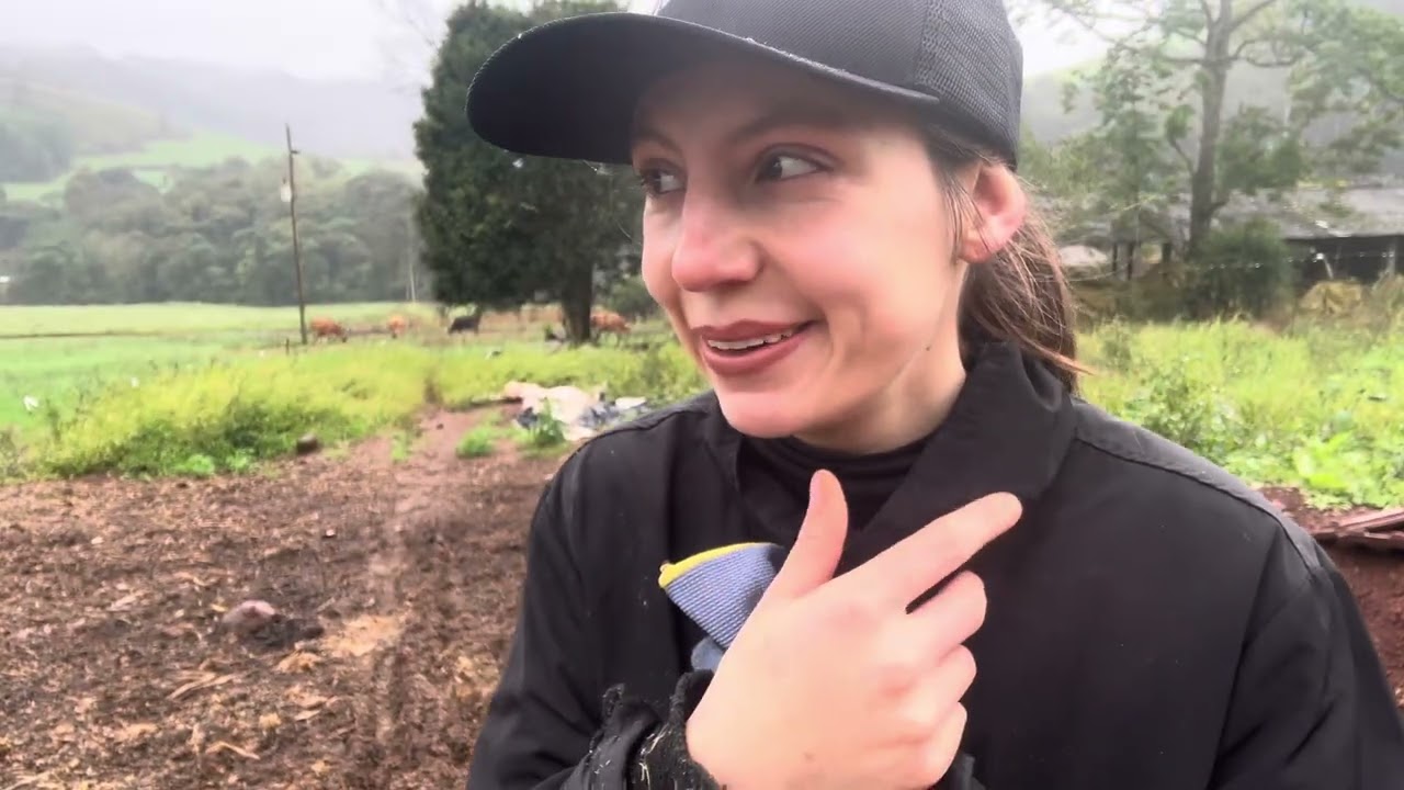 Frio chuva e serviço