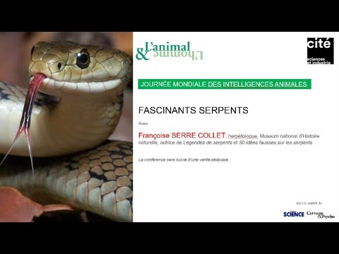 Vidéo: Serpent Vepsian Gorynych. Reptile Volant, Inconnu De La Science - Vue Alternative