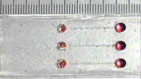 Fluid control in microfluidic devices using a fluid conveyance extension and an absorbent..