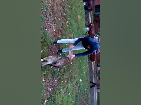 Жестокая ебля - YouTube