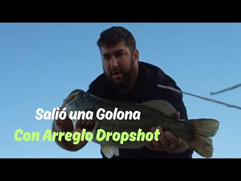Territorio de las LOBINAS GIGANTES