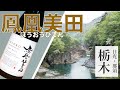 【初心者におすすめ】日本酒嫌いを次々と虜にする日本酒【鳳凰美田】日光~NIKKO~