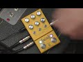 Walrus Audio Mako R1 Reverb & ACSI Amp/Cab Modeller Demo