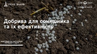 Добрива для соняшника та їх ефективність