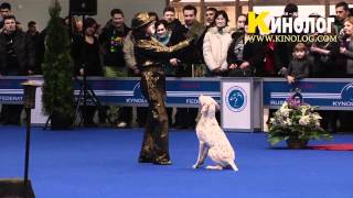 Dog dancing show 'Eurasia  2012 / Russia / Moscow'. Freestyle. by KinologVideo 7,315 views 12 years ago 4 minutes, 28 seconds