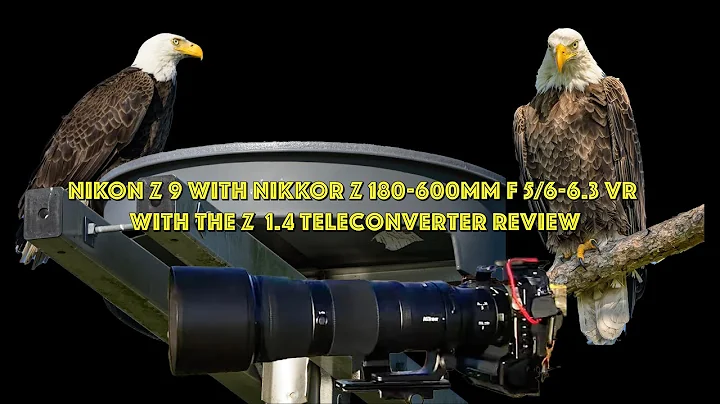 NIKON Z 9 WITH NIKKOR Z 180-600MM F 5/6-6.3 VR WITH THE Z 1.4x TELECONVERTER - MY REVIEW