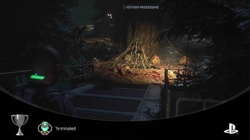 Terminated (SILVER) Trophy in The Callisto Protocol