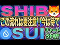 【３月１０日最新版】柴犬コイン今持っていない人はこの動き推奨！柴犬コインとSUI【仮想通貨】【チャート分析】