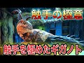 【ARKジェネシス2】#22 触手に侵され最強になったギガノトに挑む!