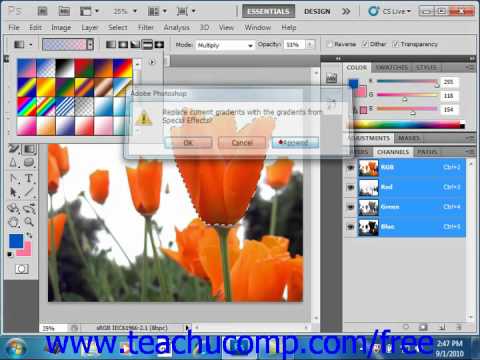 Photoshop CS Tutorial Using the Gradient Tool Adobe Training Lesson .