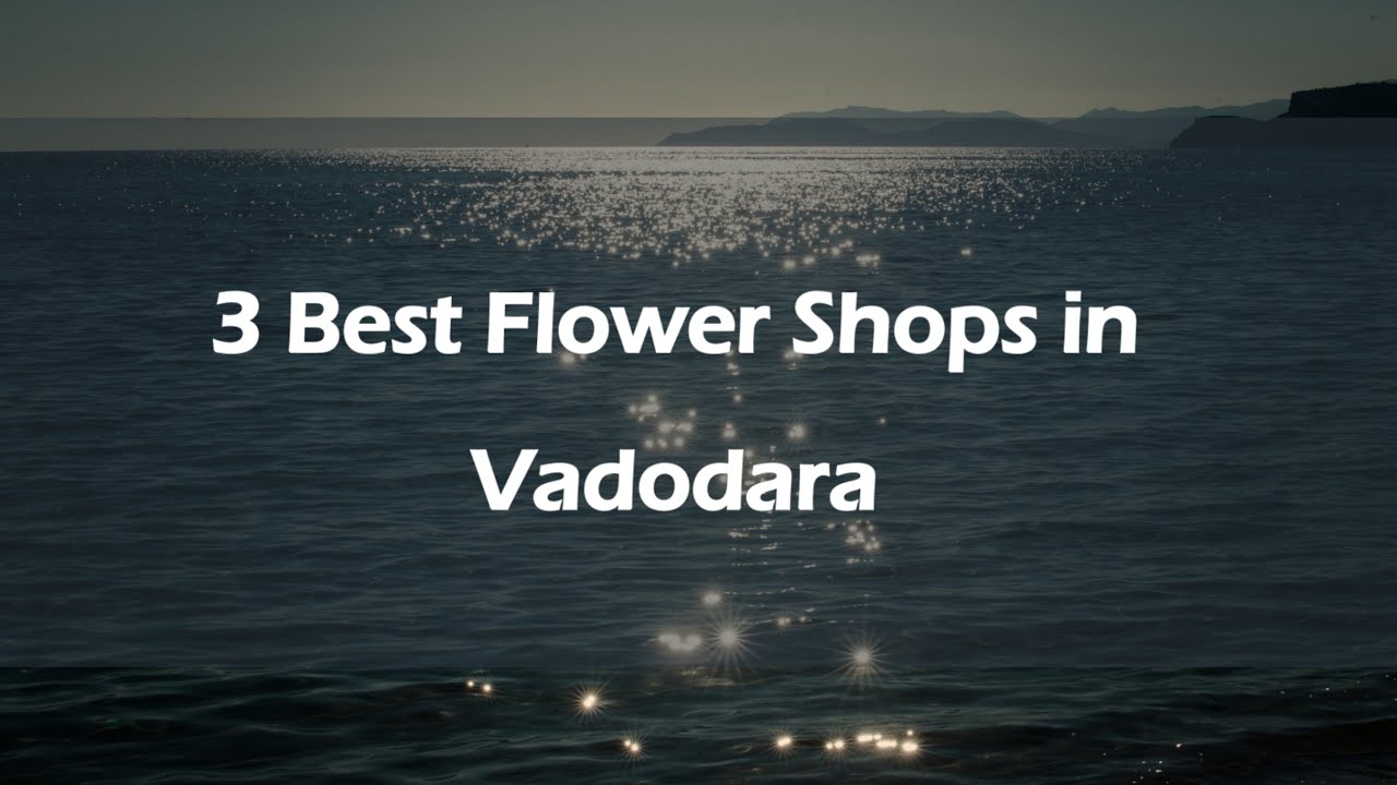 3 Best Flower Shops in Vadodara, Gujarat 2025 | Florists