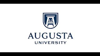 Three Minute Thesis (3MT) 2018 Finalist - Allison Bridges Profile