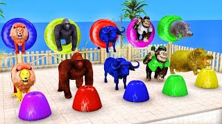 paint animals gorilla elephant cow lion tiger brown bear fountain crossing animal cartoon game