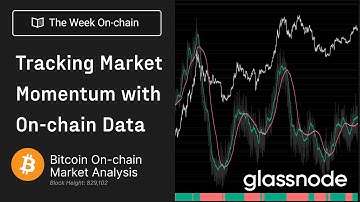 Tracking Market Momentum with On-chain Data - The Week On-chain 6, 2024 (Bitcoin Onchain Analysis)